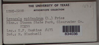 Image Associated With the Occurence
